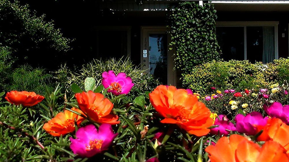 Murray Inn And Art Gallery Εξωτερικό φωτογραφία